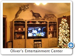 Oliver's Entertainment Center